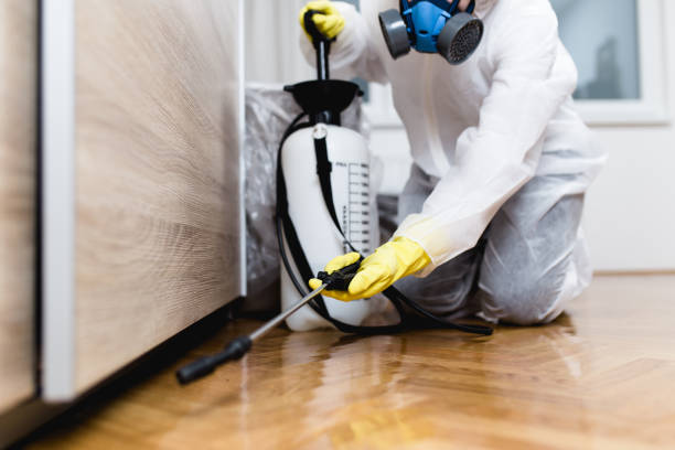 Best Affordable Pest Control Services  in Prudenville, MI