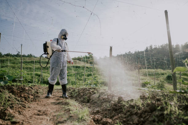 Best Local Pest Control Services  in Prudenville, MI