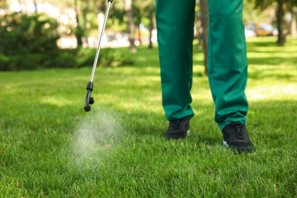 Best Wasp Removal Services  in Prudenville, MI