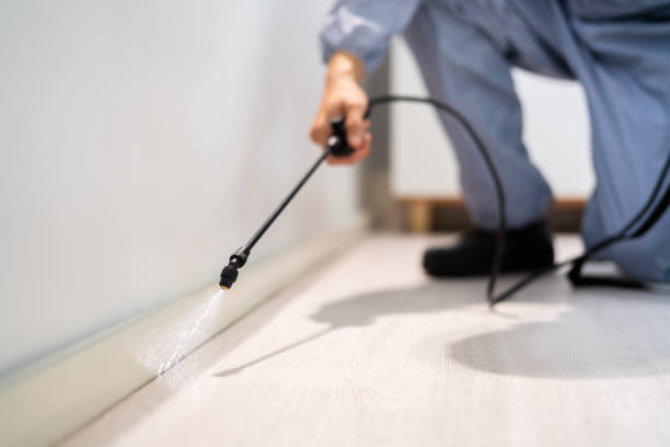 Best Best Pest Control Companies  in Prudenville, MI