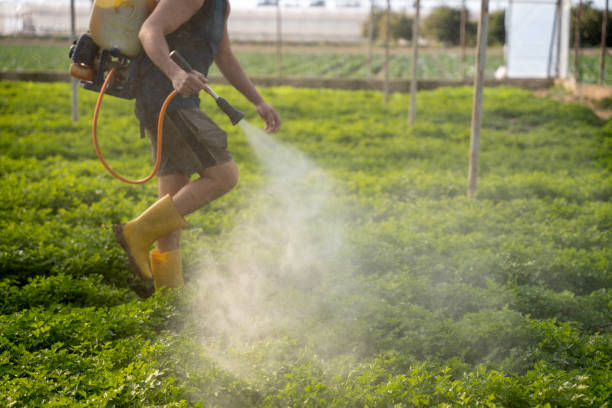 Best Residential Pest Control  in Prudenville, MI