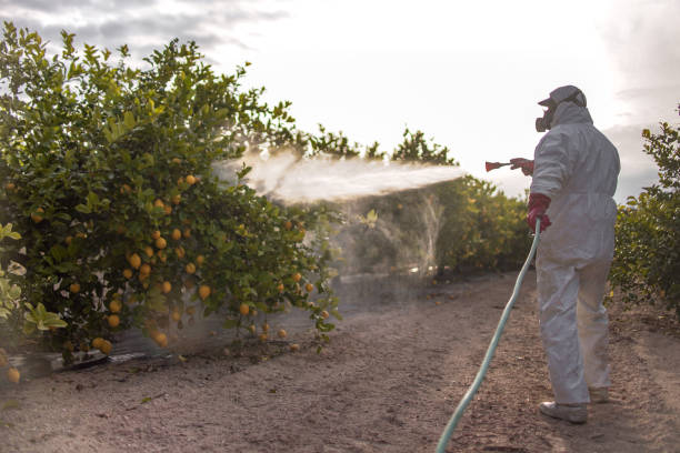 Best Pest Control Near Me  in Prudenville, MI