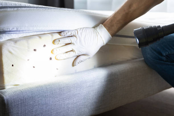 Best Mosquito Control Services  in Prudenville, MI