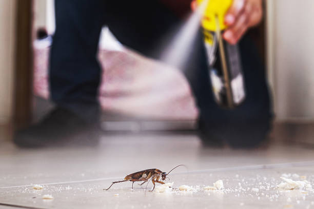 Best Emergency Pest Control  in Prudenville, MI