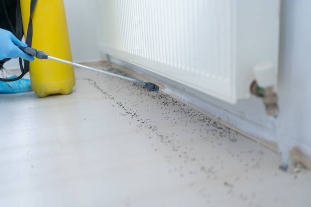 Wildlife Control Services in Prudenville, MI