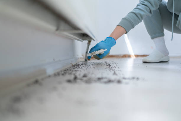Prudenville, MI Pest Control Company