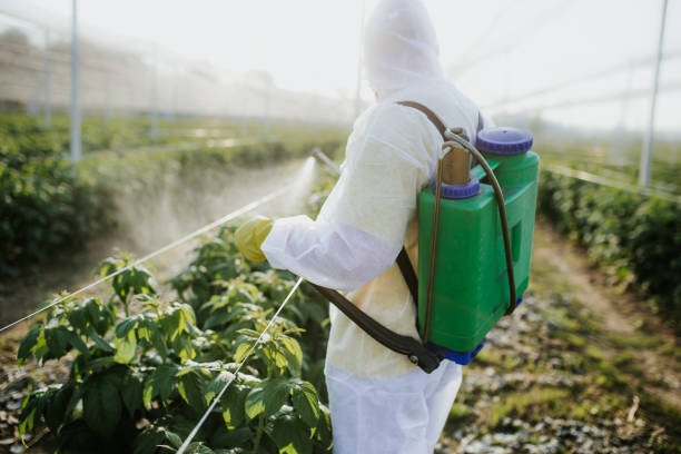Best Mosquito Control Services  in Prudenville, MI